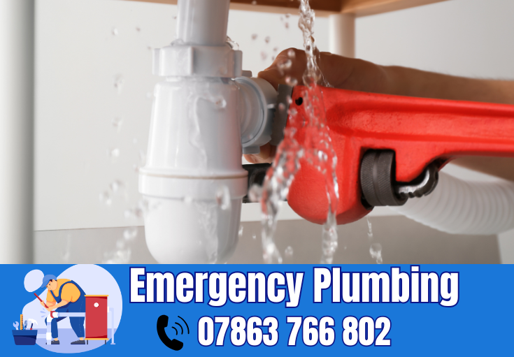  plumber Westy